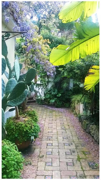B&B La Salamandra Kitchengarden Форио Экстерьер фото